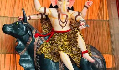 गणेश चतुर्थी की धूम : ढोल-ढमाकों के साथ गणेश जी को घर ले जाकर कर रहे स्थापना, बाजार में भी रौनक