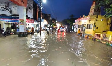 बारिश का कहर, जावरा में पीलियाखाल ने लिया रोद्र रूप, हाथीखाना जलमग्न, कई घरों में घूसा पानी