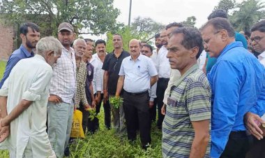 चलो ये भी अच्छा है... सीएम साहब तो नहीं आए लेकिन अधिकारी तो खेतों में पहुंच गए