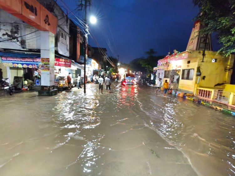 बारिश का कहर, जावरा में पीलियाखाल ने लिया रोद्र रूप, हाथीखाना जलमग्न, कई घरों में घूसा पानी