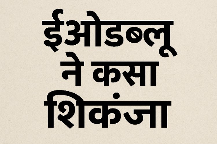 रियावन आबादी की सरकारी भूमि खरीदी बिक्री के मामले में तत्कालीन सरपंच, दो सचिव सहित 7 लोगों पर ईओडब्ल्यू ने दर्ज की एफआईआर