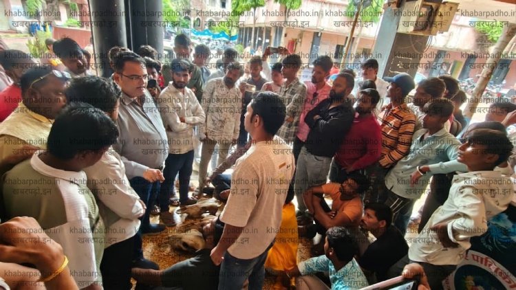 मवेशियों के कंकाल बेचने के आरोप, नपा में हिंदू संगठन कार्यकर्ताओं ने दिया धरना, थाने भी पहुंचे