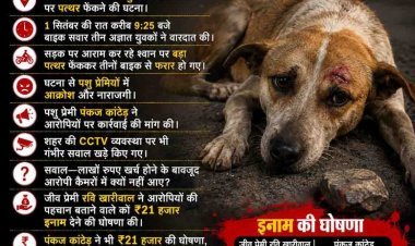 बाइक सवार युवक कुत्ते पर फैंक गए बड़ा भारी पत्थर, जीवदया प्रेमी बोले इन्हें ट्रेस कर पुलिस को बताएं तो देंगे ईनाम